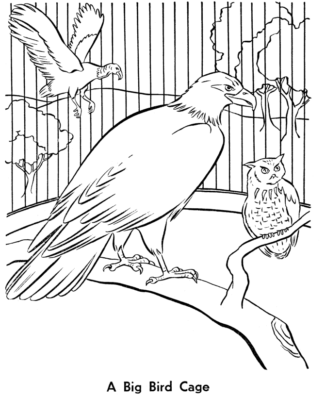Coloring Page Zoo