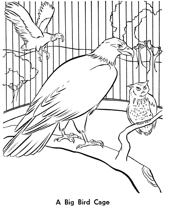 Coloriage Zoo