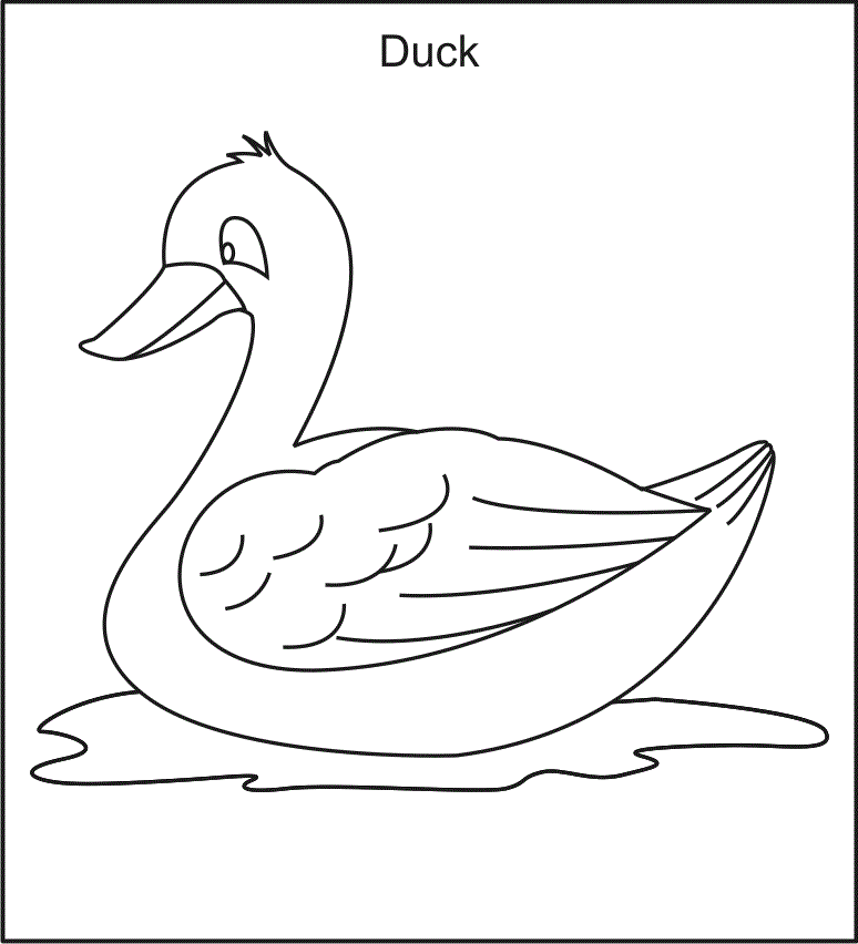 Coloring Page of Duck