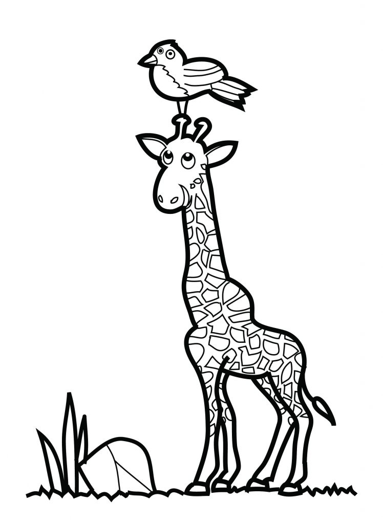 Coloring Page of Giraffe