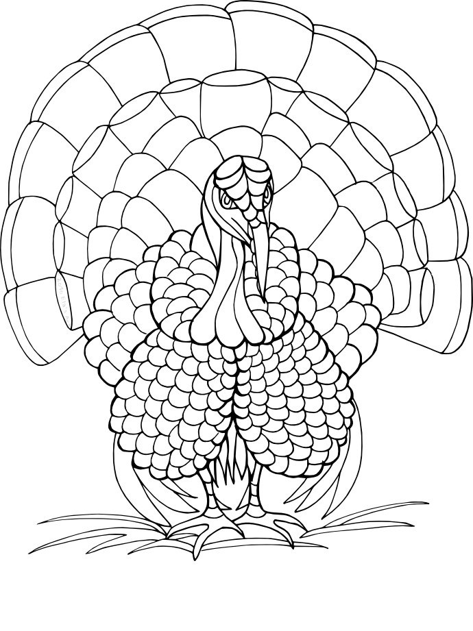 Coloring Page of Turkey
