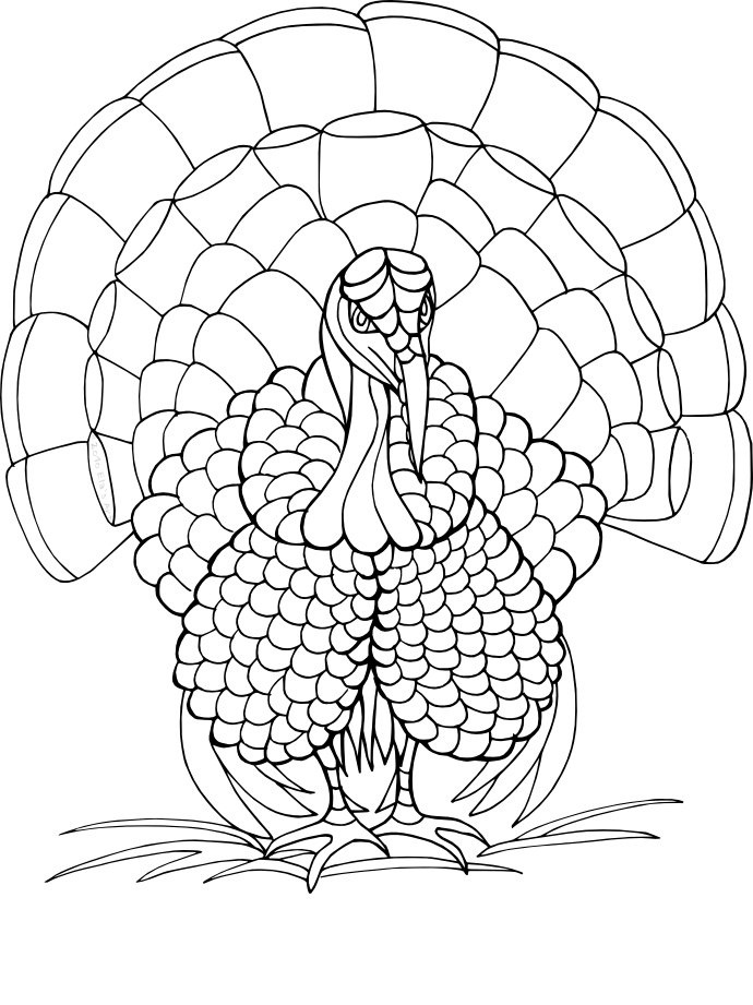 Free Printable Turkey Coloring Pages For Kids