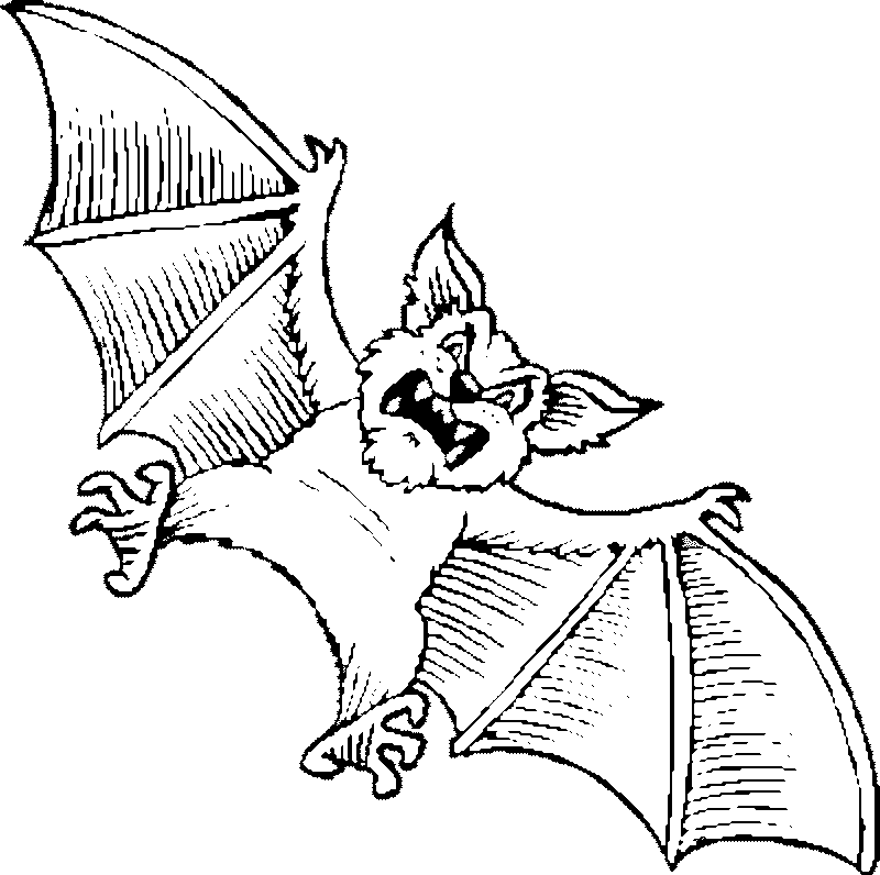Coloring Page of a Bat