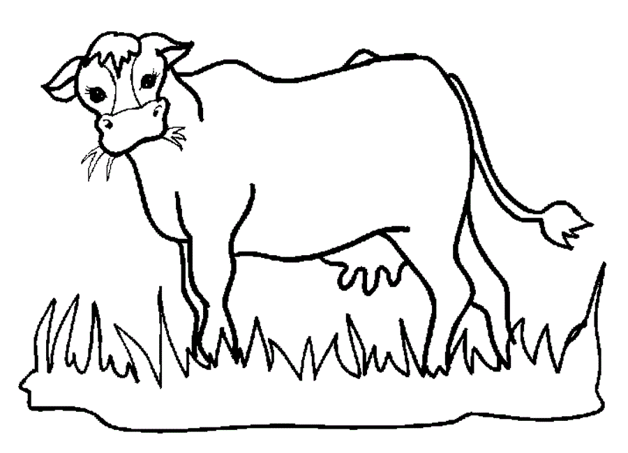 Coloring Page of a Cow
