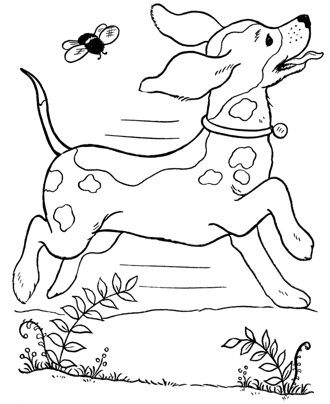 dog breed coloring pages - free printable dog coloring pages for kids | coloring pages printable dogs