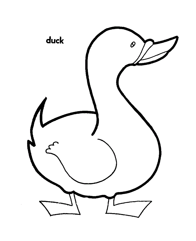Coloring Page of a Duck