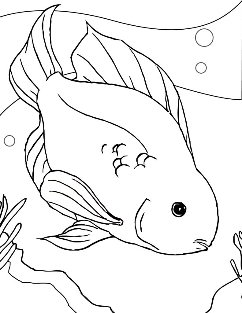 Coloring Page of a Fish