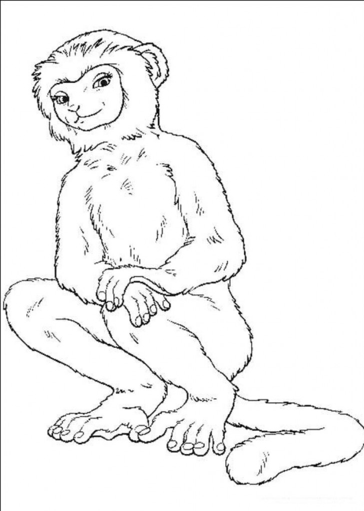 Coloring Page of a Monkey