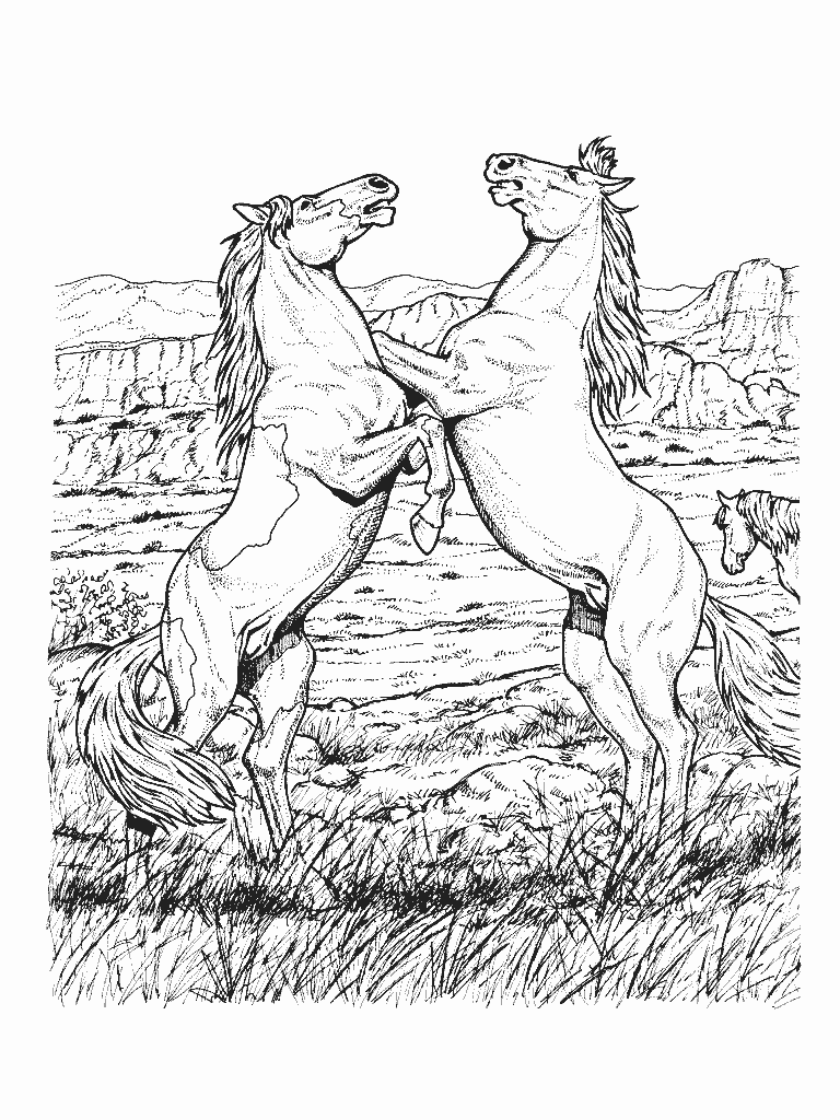 horse coloring pages for girls