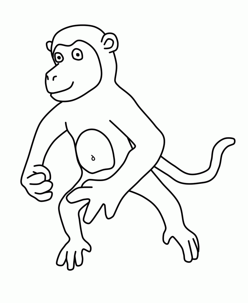 Coloring Pages Monkey