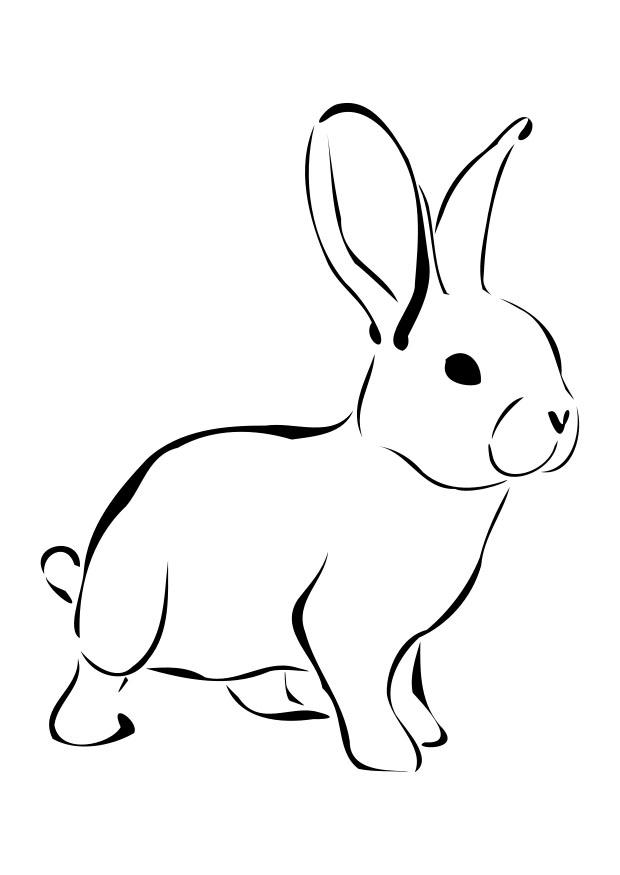 Coloring Pages Rabbits