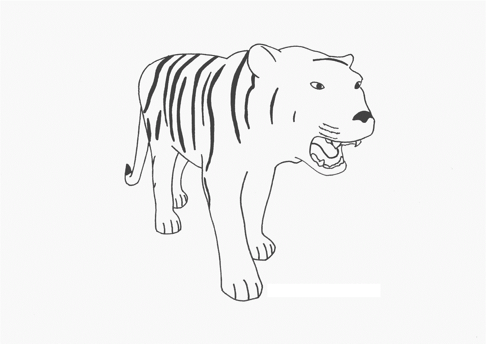 Free Printable Tiger Coloring Pages For Kids