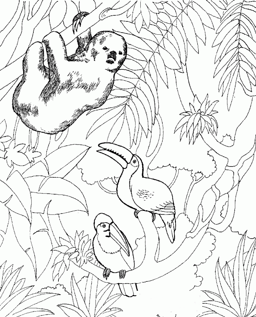 Coloriage animaux du zoo