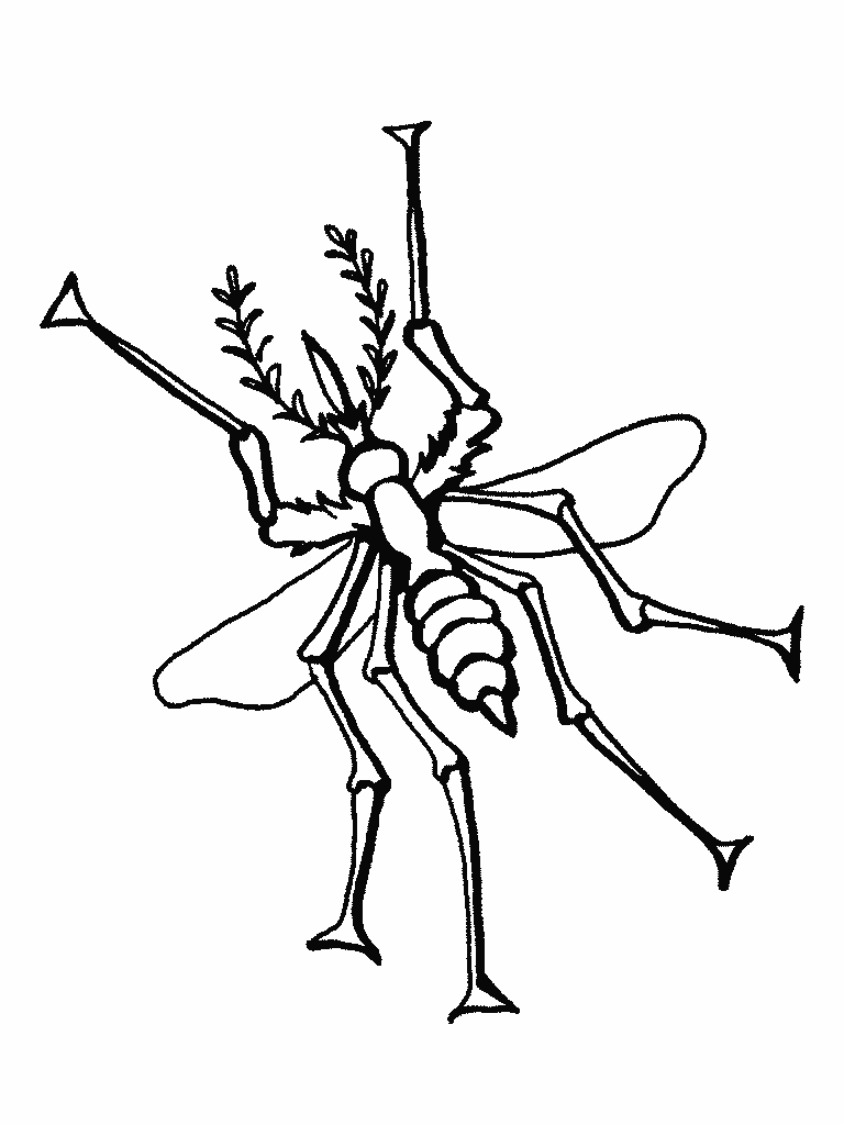 Coloring Pages of Bugs For Kids