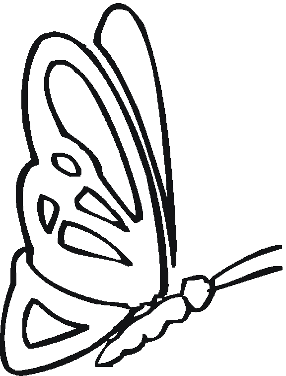 Coloring Pages of Butterflies For Kids