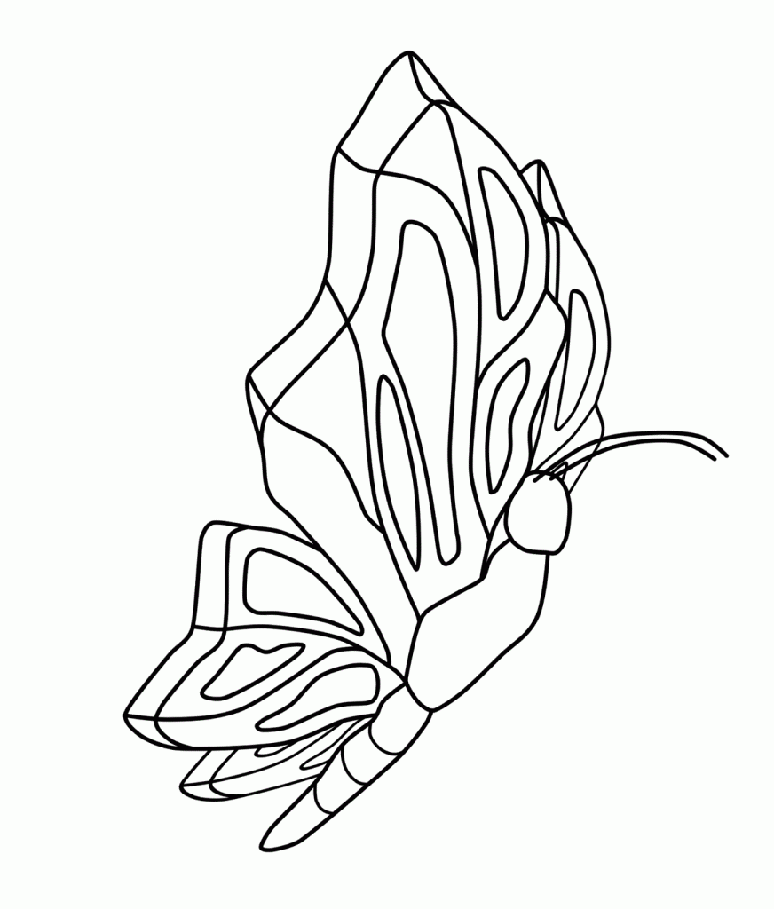 Coloring Pages of Butterfly