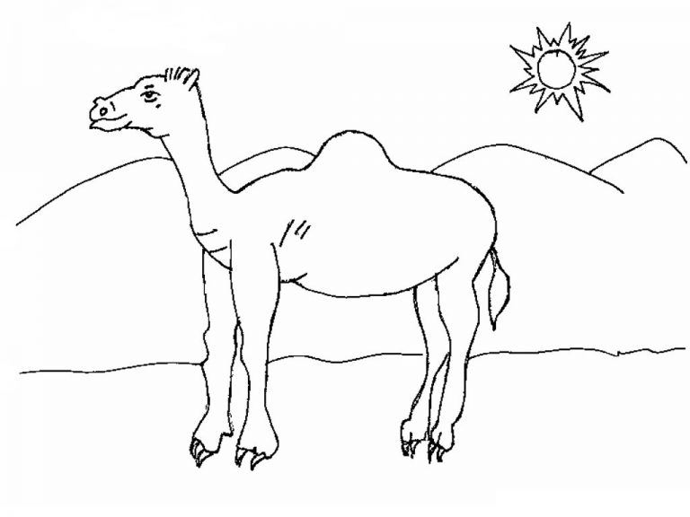 Free Printable Camel Coloring Pages For Kids