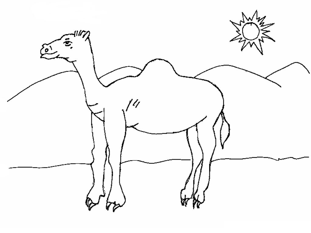 free-printable-camel-coloring-pages-for-kids