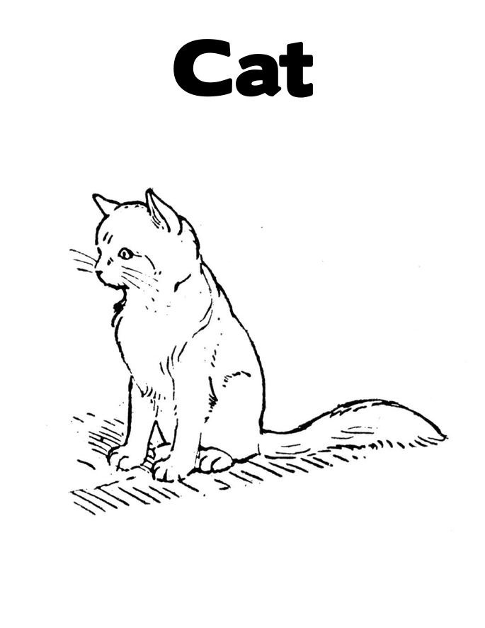 Coloring Pages of Cat