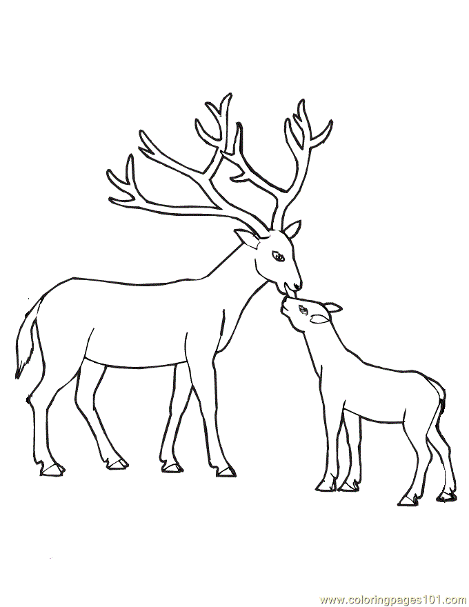 Coloring Pages of Deer For Kids