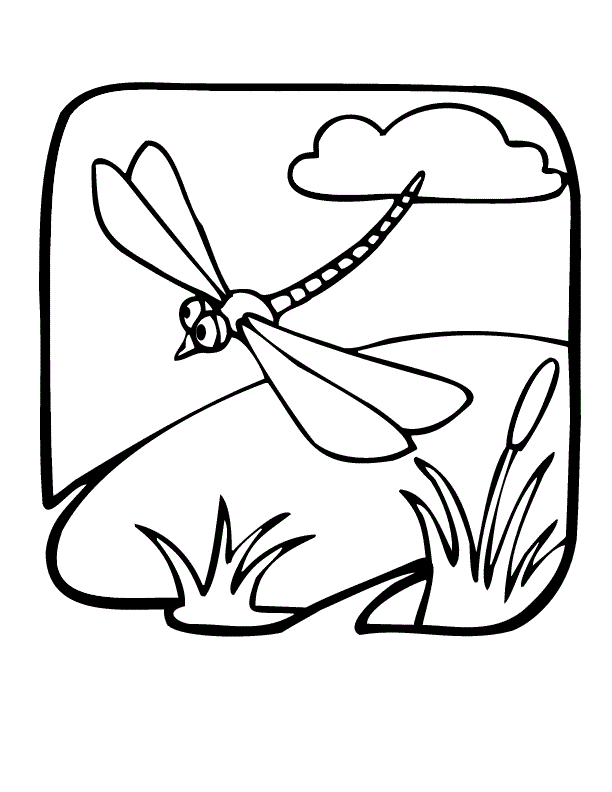 Coloring Pages of Dragonfly