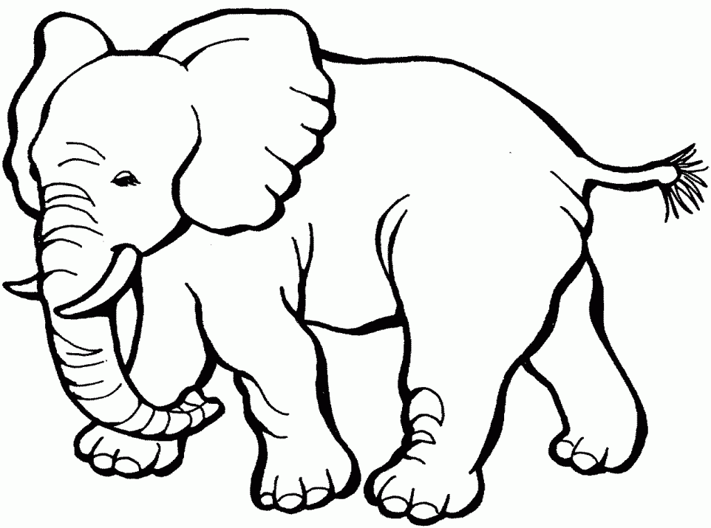 Coloring Pages of Elephants For Kids