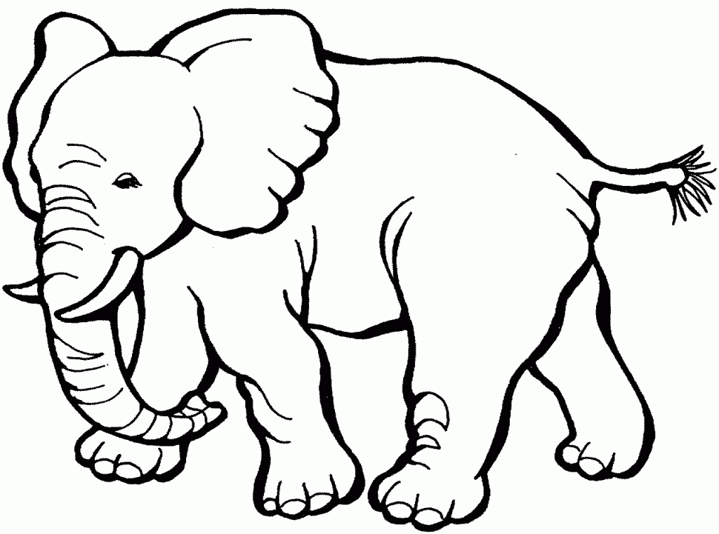 Download Free Printable Elephant Coloring Pages For Kids