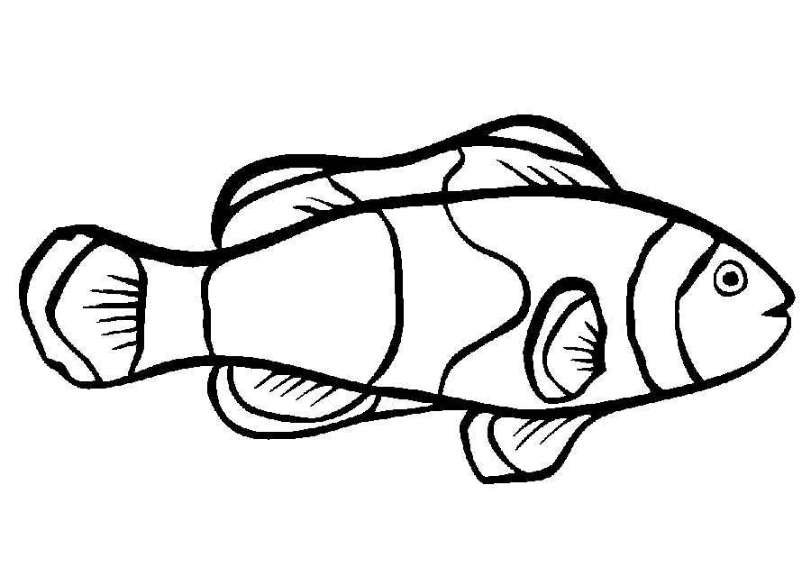Coloring Pages of Fish