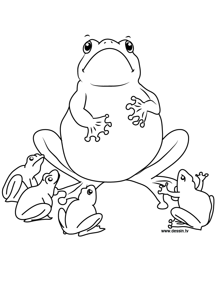 Coloring Pages of Frogs Printable