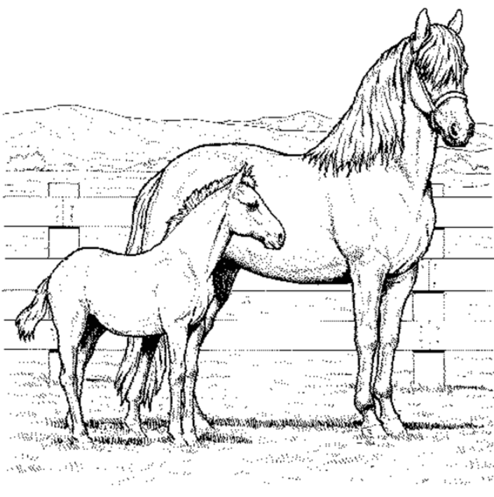 Coloring Pages of Horses For Kids