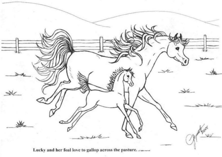 Coloring Pages of Horses