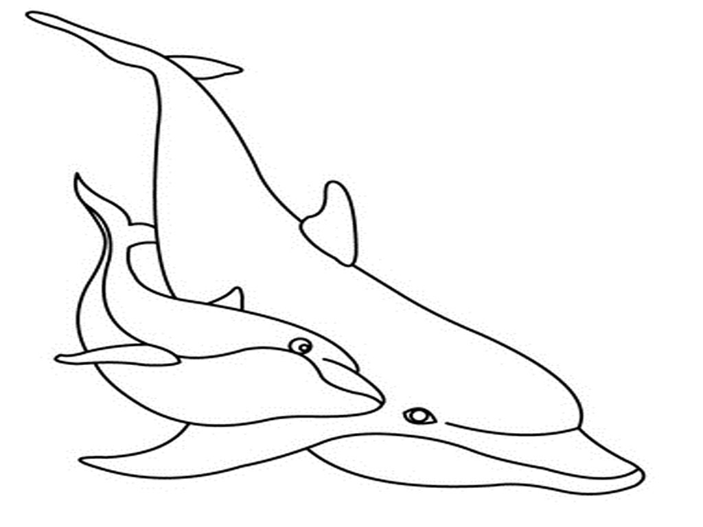 Coloring Pages of Mermaids and Dolphins
