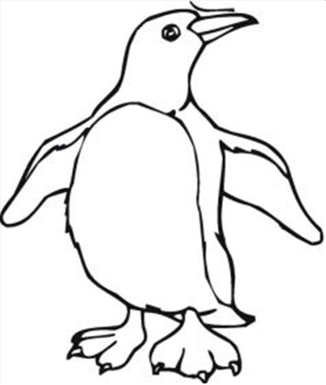 Coloring Pages of Penguins For Kids