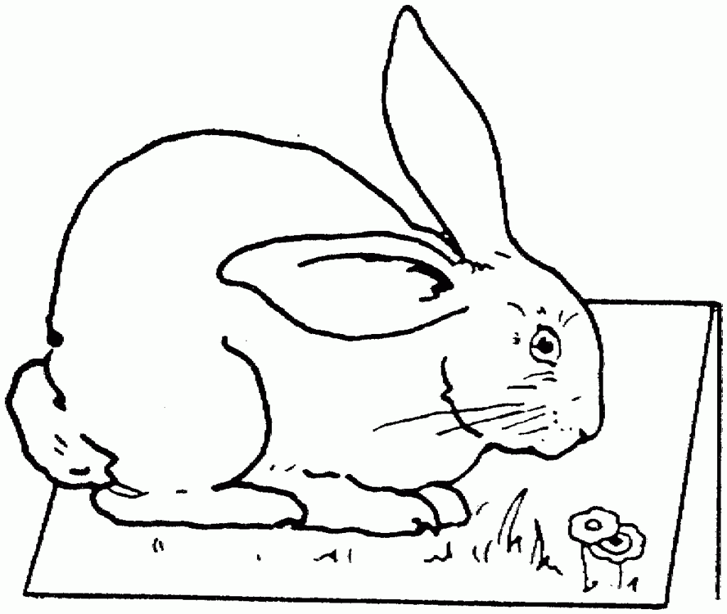 Coloring Pages of Rabbit