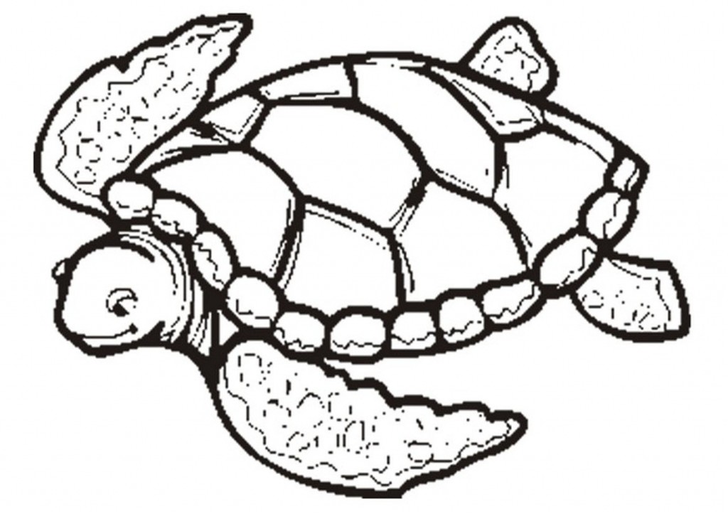 Coloring Pages of Sea Turtles