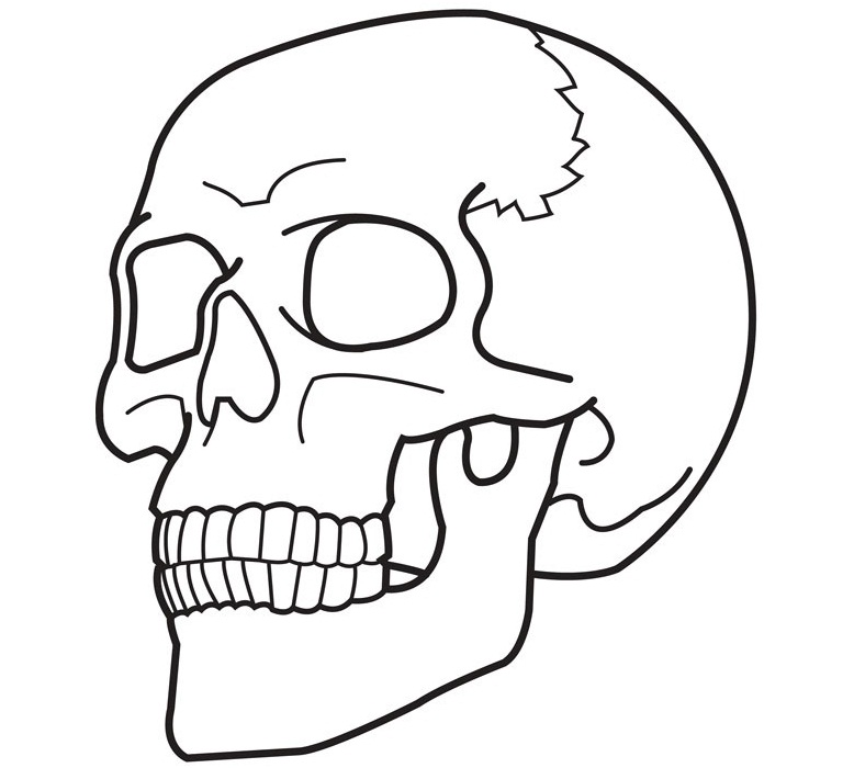 Coloring Pages of Skull