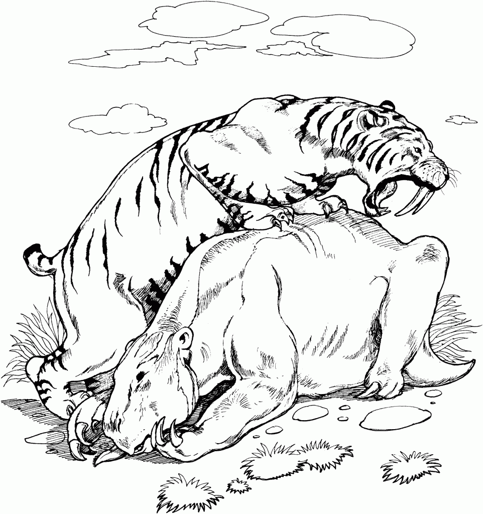 Coloring Pages of Tigers For Kids