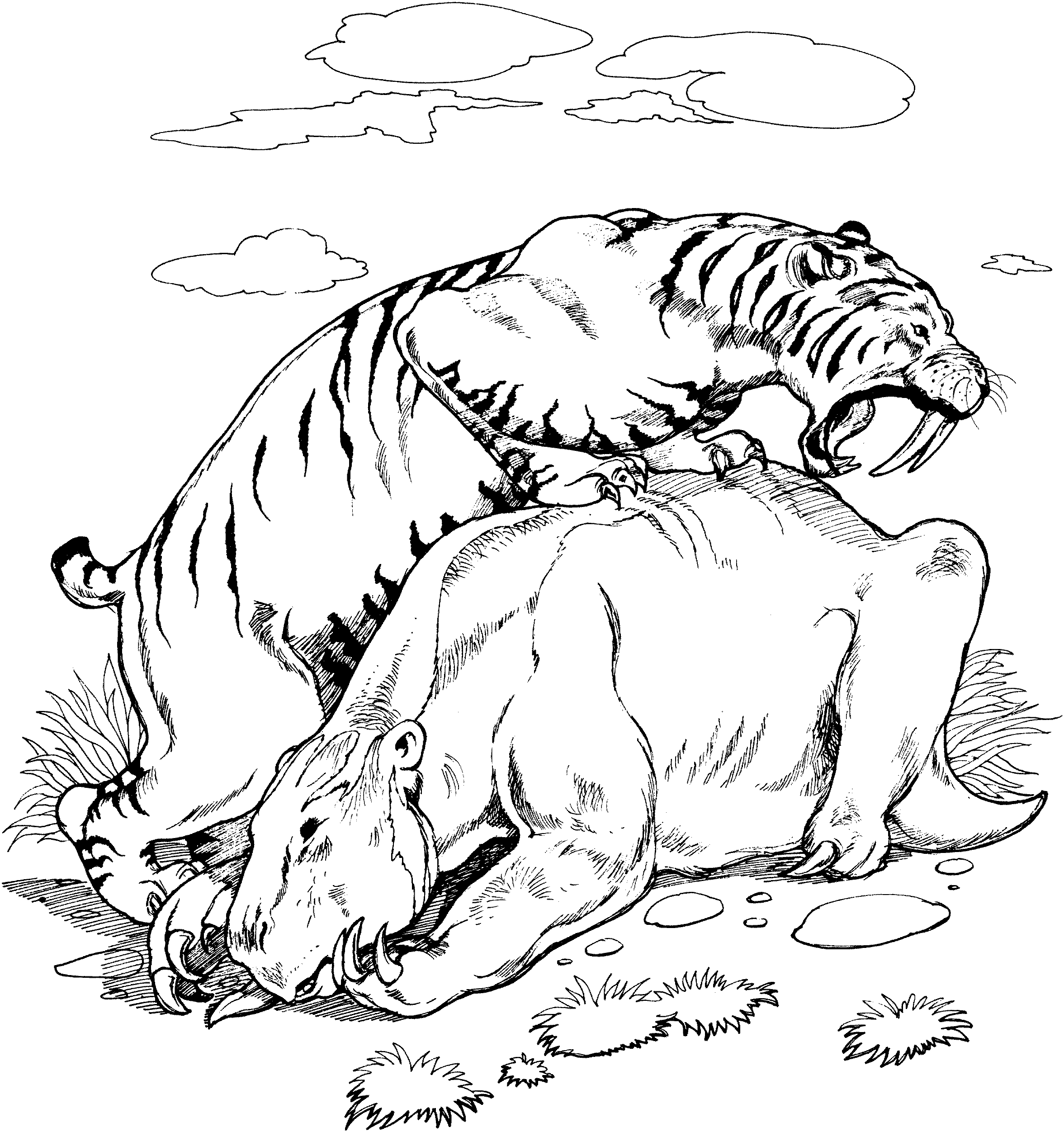 Free Printable Tiger Coloring Pages For Kids