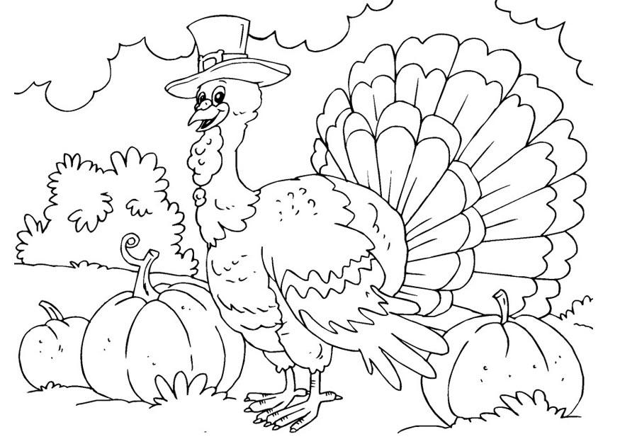 Coloring Pages of Turkeys