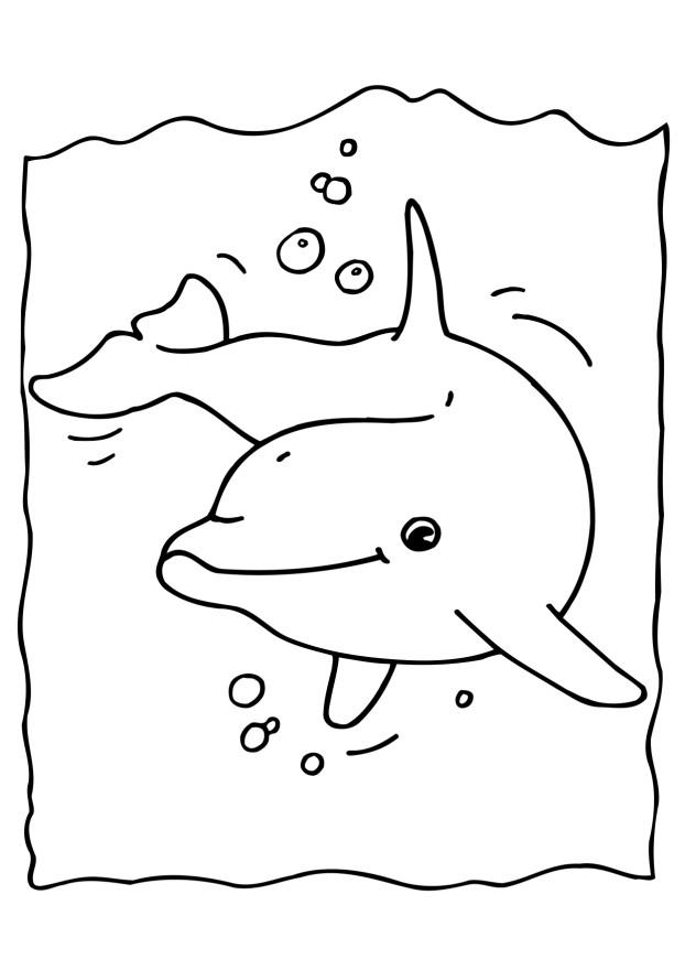 Coloring Pages of Winter The Dolphin