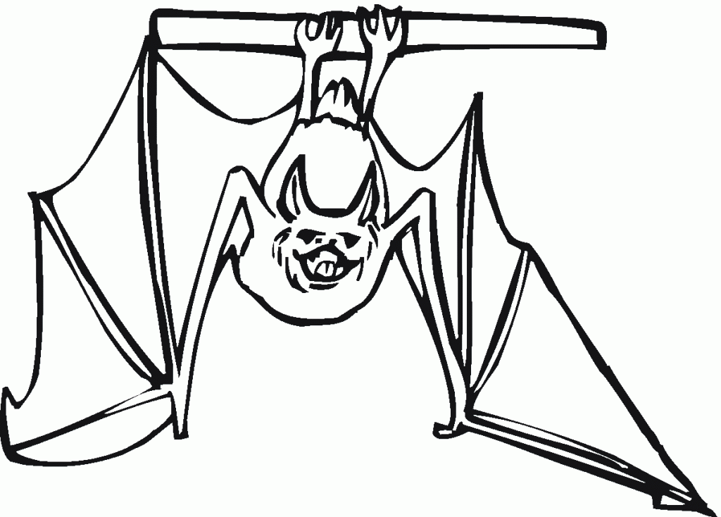 Coloring Pages of a Bat