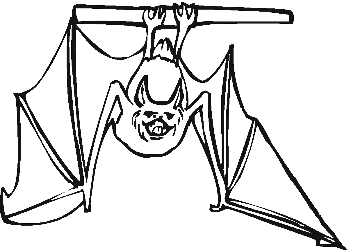 nietoperz kleurplaten fledermaus murcielago morcego vleermuis druku kleurplaat giu vleermuizen hangt pipistrello kolorowanka pendurado baixo