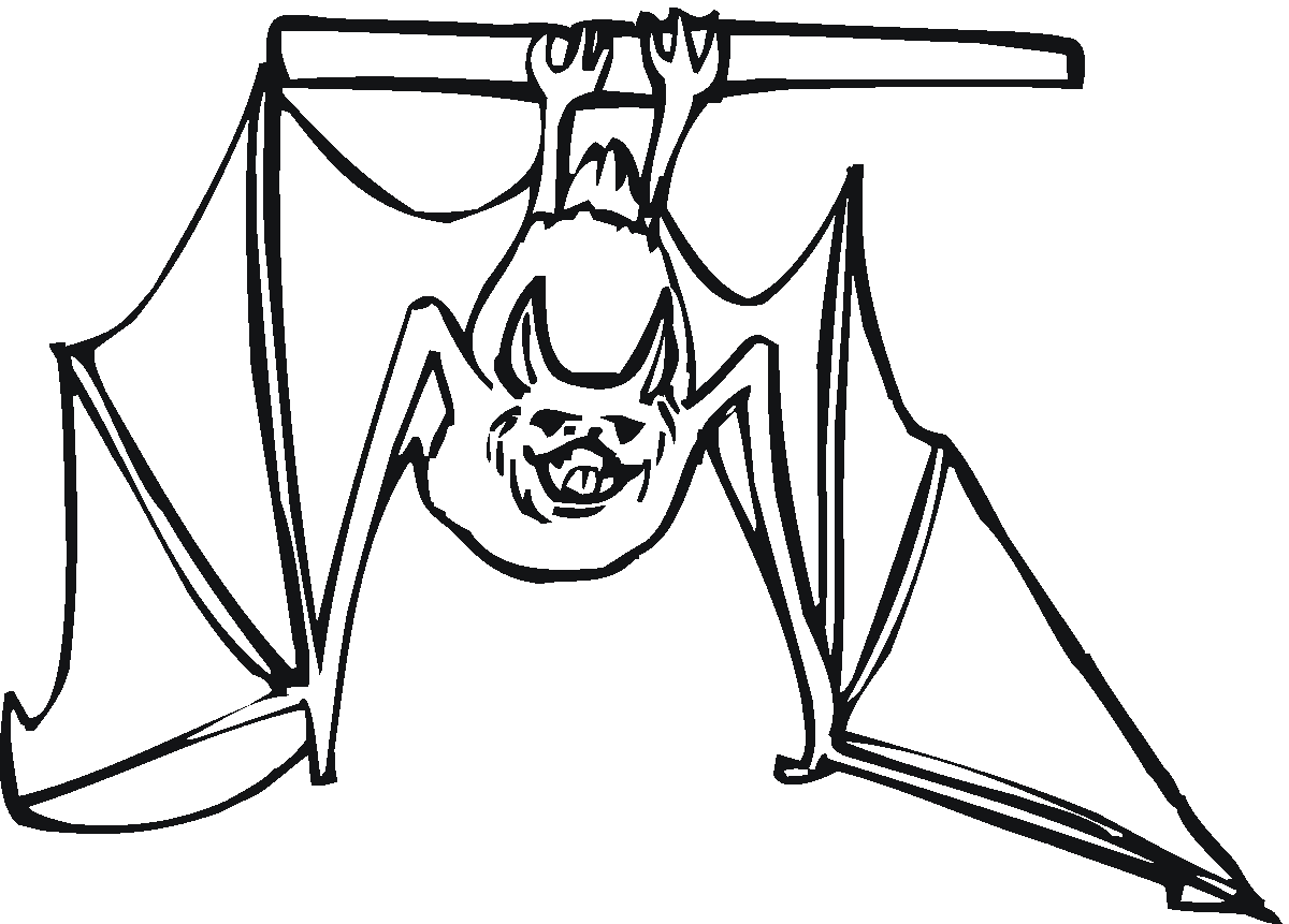 Get Cute Bat Coloring Pages PNG