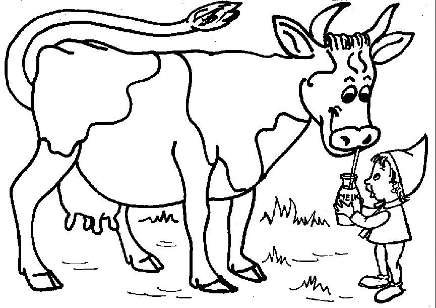 Coloring Pages of a Cow