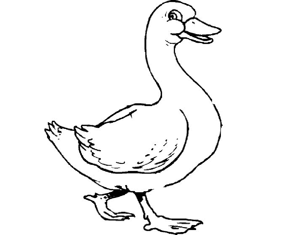 Coloring Pages of a Duck