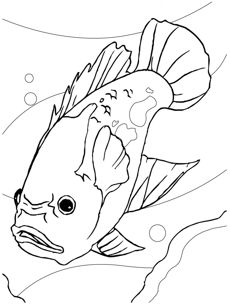 Coloring Pages of a Fish