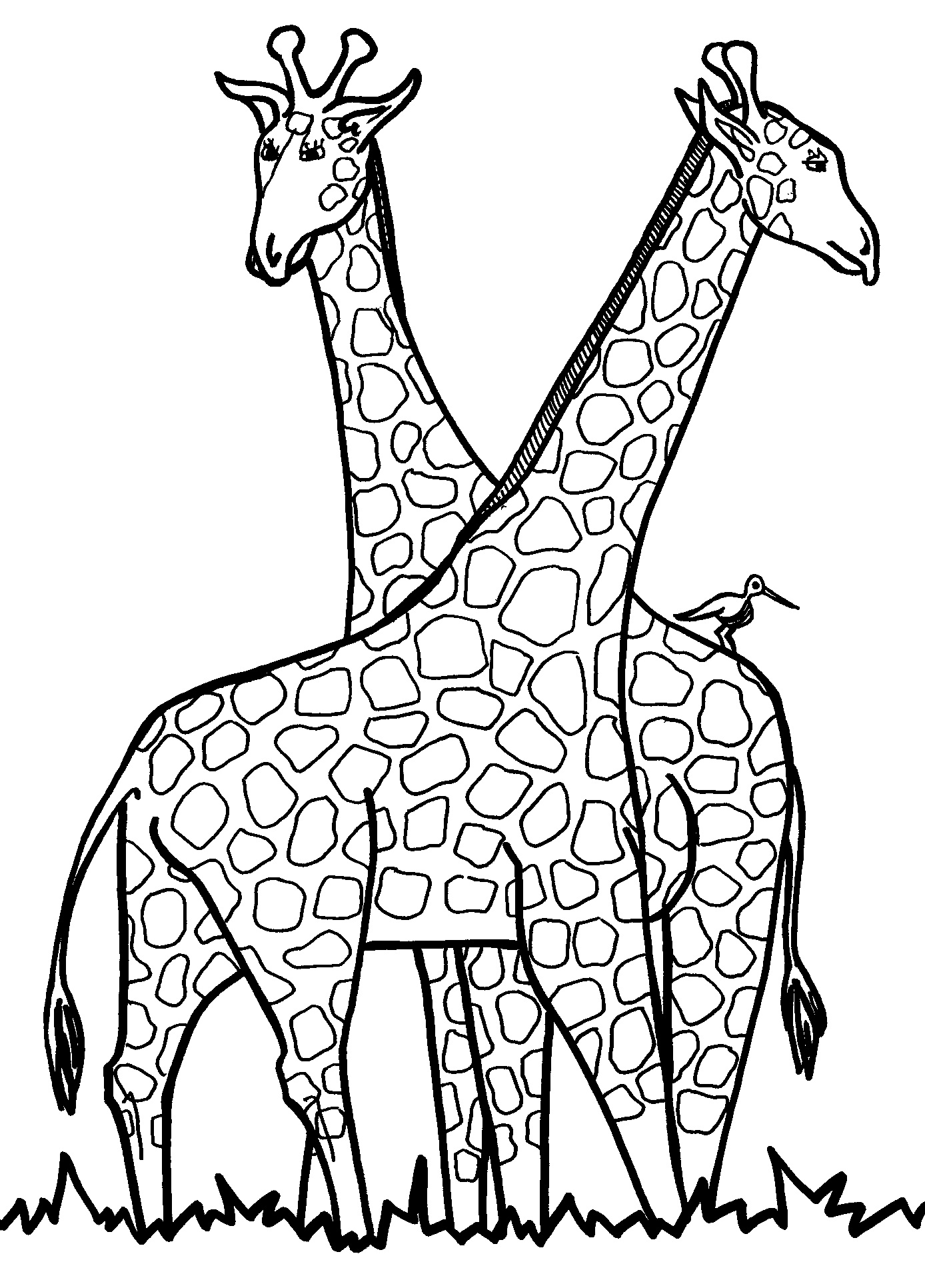 baby giraffe coloring pages portrait - photo #20