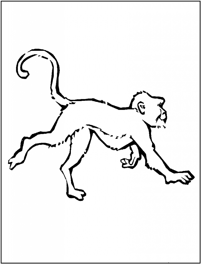 Coloring Pages of a Monkey