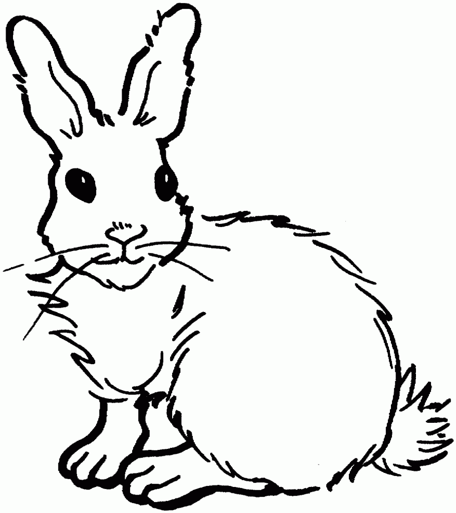 Coloring Pages of a Rabbit