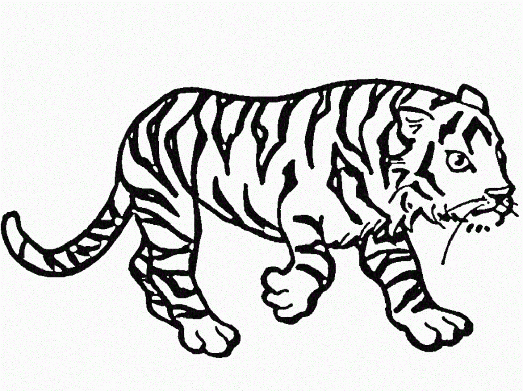 Coloring Pages of a Tiger